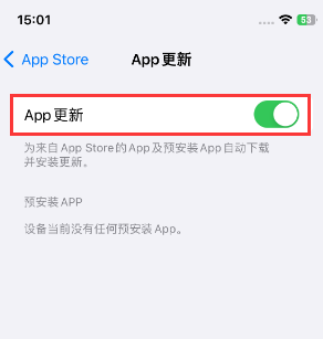 东区街道苹果15维修中心如何让iPhone15APP自动更新